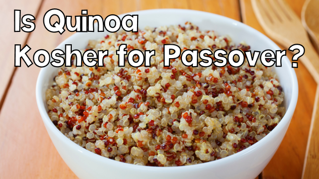 Is Quinoa Kosher for Passover